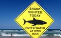 Προειδοποίηση για εμφάνιση καρχαριών σε παραλίες της Φλόριντα μετά τον κυκλώνα εξέδωσαν οι αρχές
