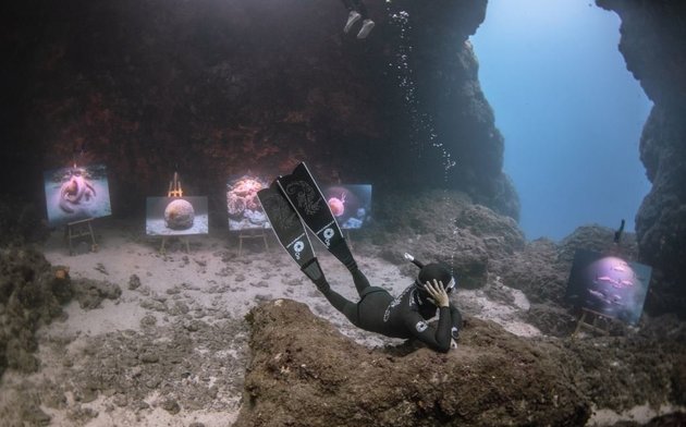 The Underwater Gallery: Ο Ελληνικός βυθός αποκαλύπτεται με μια ανάσα - Φωτογραφία 4