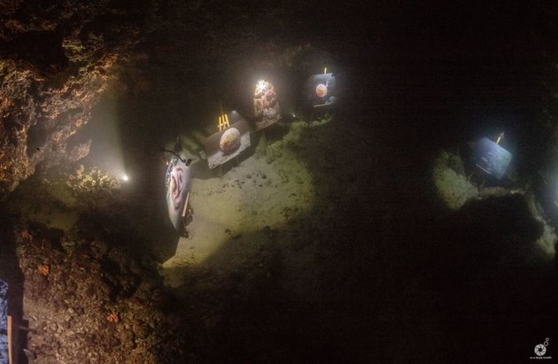 The Underwater Gallery: Ο Ελληνικός βυθός αποκαλύπτεται με μια ανάσα - Φωτογραφία 6