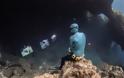 The Underwater Gallery: Ο Ελληνικός βυθός αποκαλύπτεται με μια ανάσα - Φωτογραφία 8