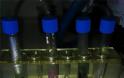 Ο επίμονος χημικός: Ποιος είναι ο 27χρονος Ραφαήλ που εξουδετερώνει τα ποτά «μπόμπες» - Φωτογραφία 2