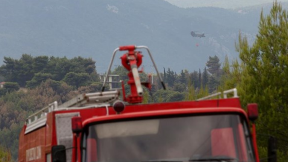 Θεσσαλονίκη: Φωτιά σε κατάστημα στην περιοχή της Περαίας - Φωτογραφία 1