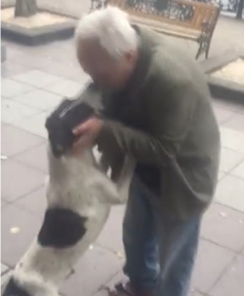 H μοναδική στιγμή που ένας άνδρας βρίσκει τον σκύλο του έπειτα από τρία χρόνια! - Φωτογραφία 2