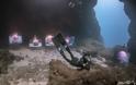 The Underwater Gallery: Ο Ελληνικός βυθός αποκαλύπτεται με μια ανάσα - Φωτογραφία 4