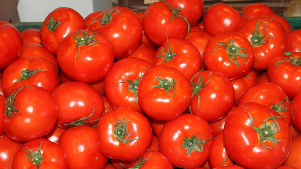 Δεσμεύτηκαν 8 τόνοι ντομάτας Πολωνίας σε επιχείρηση στου Ρέντη - Φωτογραφία 1