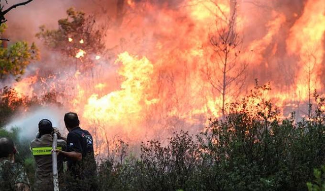 Καταστροφικές πυρκαγιές στις μεσογειακές χώρες φέρνει η άνοδος της θερμοκρασίας! - Φωτογραφία 1