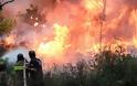 Καταστροφικές πυρκαγιές στις μεσογειακές χώρες φέρνει η άνοδος της θερμοκρασίας!