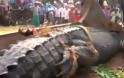 Αιχμαλώτισαν κροκόδειλο-«γίγαντα» στη Σρι Λάνκα - Φωτογραφία 2