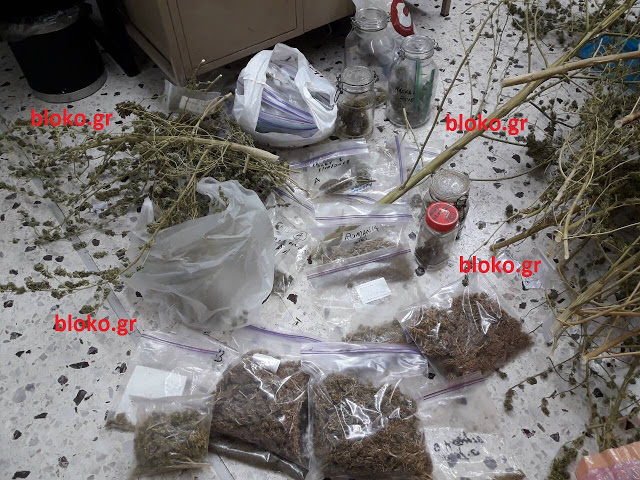 Απόστρατος αξιωματικός του ΠΝ συνελήφθη για διακίνηση ναρκωτικών - Πώς τον τσίμπησε η ΔΙΑΣ στη Γλυφάδα (ΕΙΚΟΝΕΣ) - Φωτογραφία 3