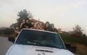 Oρεινός Βάλτος: Διανύουν 10χλμ. πάνω σε καρότσα αγροτικού για να πάνε σχολείο… (φωτο)
