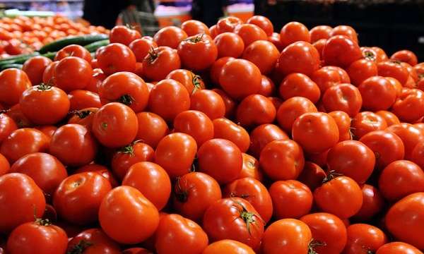 Οκτώ τόνοι ντομάτας κατασχέθηκαν στον Πειραιά - Φωτογραφία 1