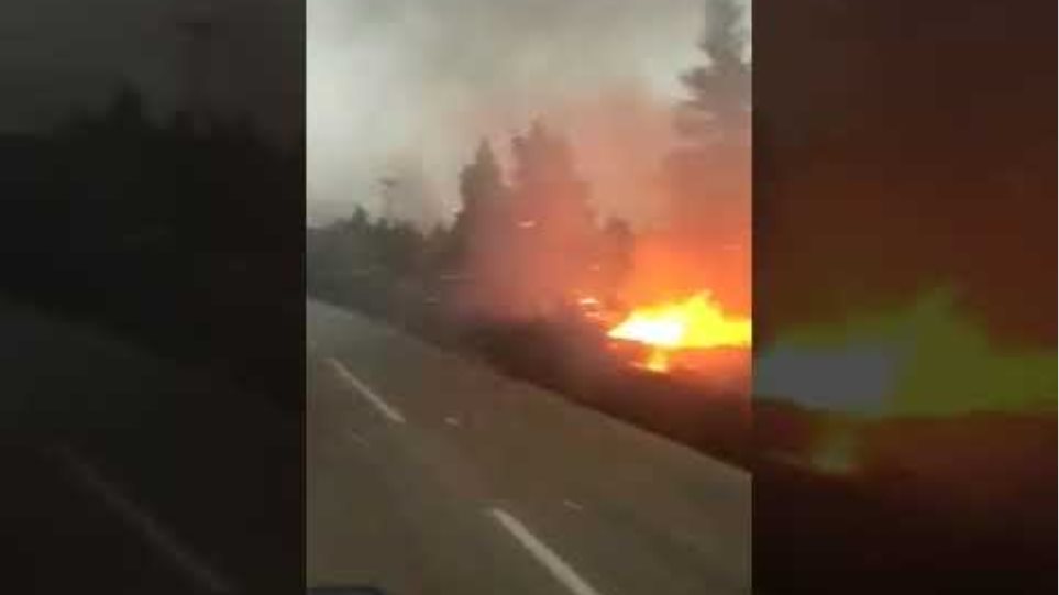 Ανεξέλεγκτη μαίνεται η φωτιά στη Σιθωνία Χαλκιδικής - Εκκενώνεται ο Κάμπος - Φωτογραφία 3