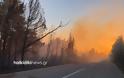 Ανεξέλεγκτη μαίνεται η φωτιά στη Σιθωνία Χαλκιδικής - Εκκενώνεται ο Κάμπος
