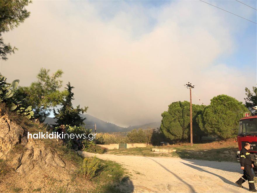 Ανεξέλεγκτη μαίνεται η φωτιά στη Σιθωνία Χαλκιδικής - Εκκενώνεται ο Κάμπος - Φωτογραφία 6