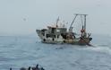 Ερώτηση Κώστα Καραγκούνη για την παράνομη αλιεία στον Αμβρακικό