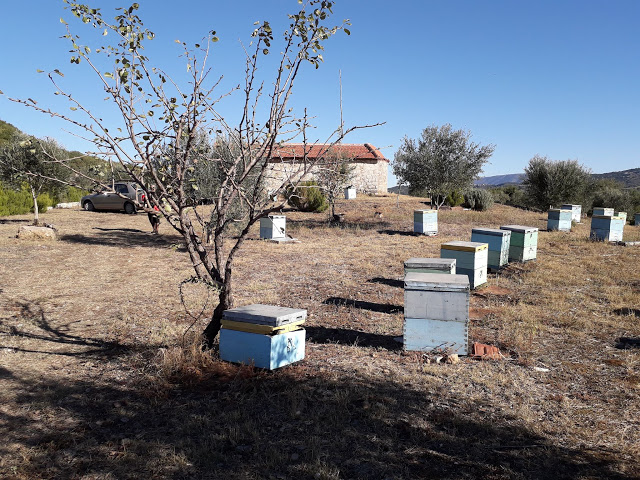 Γιόρτασε το γραφικό εκκλησάκι του ΑΓΙΟΥ ΔΗΜΗΤΡΙΟΥ στην ΜΠΑΜΠΙΝΗ | ΦΩΤΟ: Πηνελόπη Γκούμα - Φωτογραφία 11