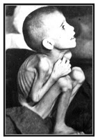 Βαθύτερες αιτίες που επέτειναν την πείνα, τον λιμό στα χρόνια της Κατοχής του 1940 - Φωτογραφία 4