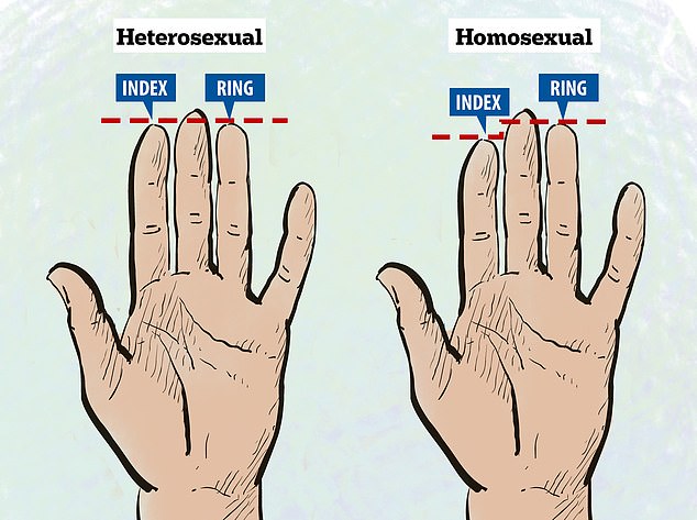 Τι μαρτυρούν τα δάχτυλα για τις σεξουαλικές σας προτιμήσεις, σύμφωνα με τους επιστήμονες; - Φωτογραφία 2