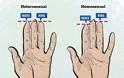 Τι μαρτυρούν τα δάχτυλα για τις σεξουαλικές σας προτιμήσεις, σύμφωνα με τους επιστήμονες; - Φωτογραφία 2