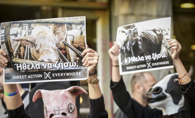 Φιλόζωοι ακτιβιστές έκαναν «ντου» στην Βαρβάκειο - Φωτογραφία 1