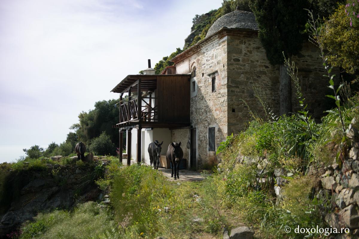 Ιερά Μονή Γρηγορίου, Άγιον Όρος (φωτογραφίες) - Φωτογραφία 24