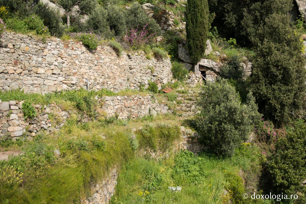 Ιερά Μονή Γρηγορίου, Άγιον Όρος (φωτογραφίες) - Φωτογραφία 25