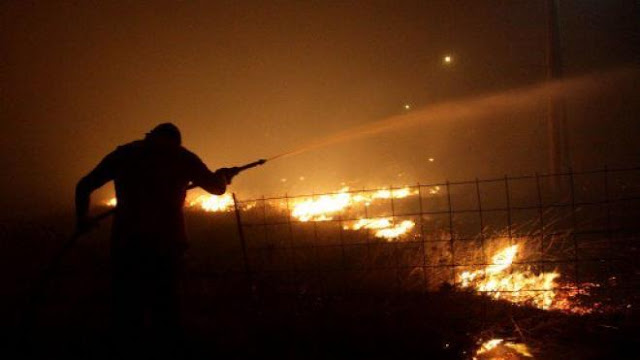 Πυρκαγιά στη Χαλκιδική: 7.000 στρέμματα η καμένη έκταση γης - Φωτογραφία 1