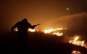Πυρκαγιά στη Χαλκιδική: 7.000 στρέμματα η καμένη έκταση γης