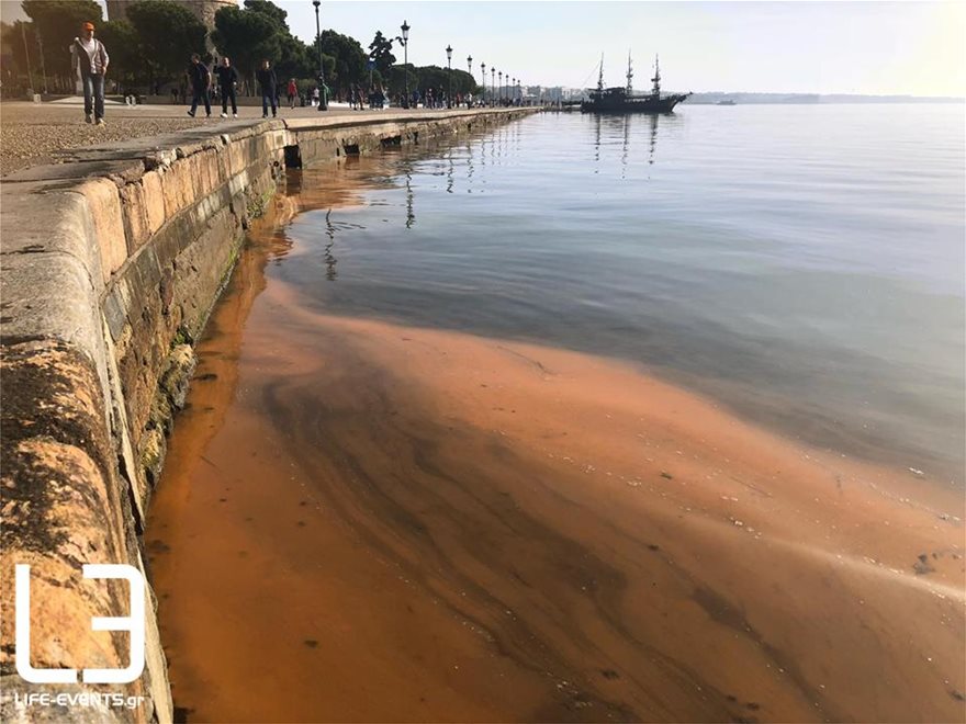 Θεσσαλονίκη: Ο Θερμαϊκός έγινε και πάλι... καφέ! - Φωτογραφία 7