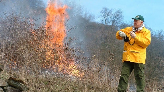 Οι εμπλεκόμενοι φορείς συζητούν τον τρόπο διαχείρισης των πυρκαγιών υπαίθρου και δασών - Φωτογραφία 1