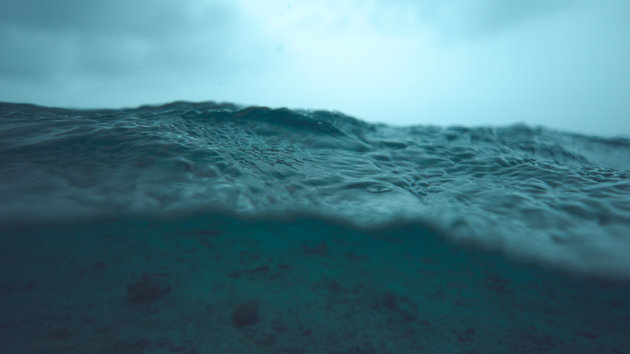 Έρευνα: Ο πυθμένας του ωκεανού αποσυντίθεται εξαιτίας της ανθρώπινης δραστηριότητας - Φωτογραφία 1