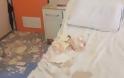 Απίστευτο: Κατέρρευσε ταβάνι στο Νοσοκομείο Νίκαιας και τραυμάτισε μητέρα ασθενούς! - Φωτογραφία 3