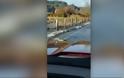 Απίστευτο βίντεο: Κοπάδι σολομών διασχίζει... δρόμο στην Ουάσινγκτον - Φωτογραφία 2