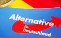 Γερμανία: Σκάνδαλο παράνομης χρηματοδότησης στο AfD