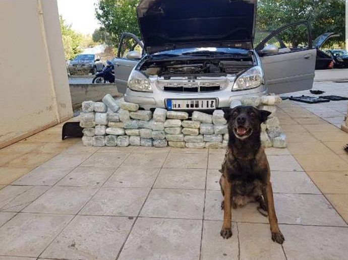 Η στιγμή που αστυνομικός σκύλος εντοπίζει 32 κιλά ναρκωτικών στο Κιλκίς (εικόνες) - Φωτογραφία 2