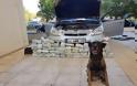 Η στιγμή που αστυνομικός σκύλος εντοπίζει 32 κιλά ναρκωτικών στο Κιλκίς (εικόνες) - Φωτογραφία 2