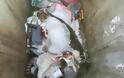 Τρεις (3) γάτες νεκρές από φόλες βρέθηκαν στις εργατικές κατοικίες στη ΒΟΝΙΤΣΑ | ΦΩΤΟ - Φωτογραφία 4