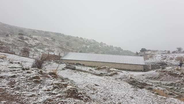 Τα πρώτα χιόνια στα ορεινά των Τρικάλων και τα Ιωάννινα (φωτογραφίες) - Φωτογραφία 4