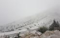 Τα πρώτα χιόνια στα ορεινά των Τρικάλων και τα Ιωάννινα (φωτογραφίες) - Φωτογραφία 5