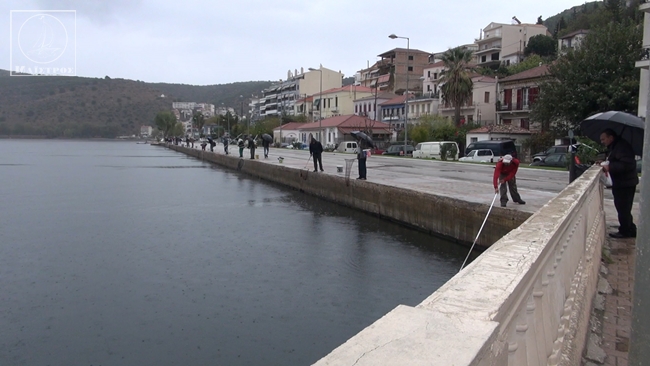 Αμφιλοχία: Μεγάλες γαρίδες και γλώσσες βγήκαν στην παραλία (φωτο και video) - Φωτογραφία 8