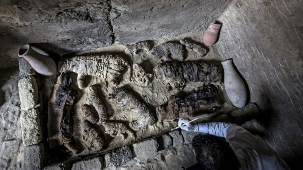 Δεκάδες μούμιες γατιών ανακαλύφθηκαν σε σαρκοφάγους άνω των 6000 ετών στην Αίγυπτο - Φωτογραφία 1