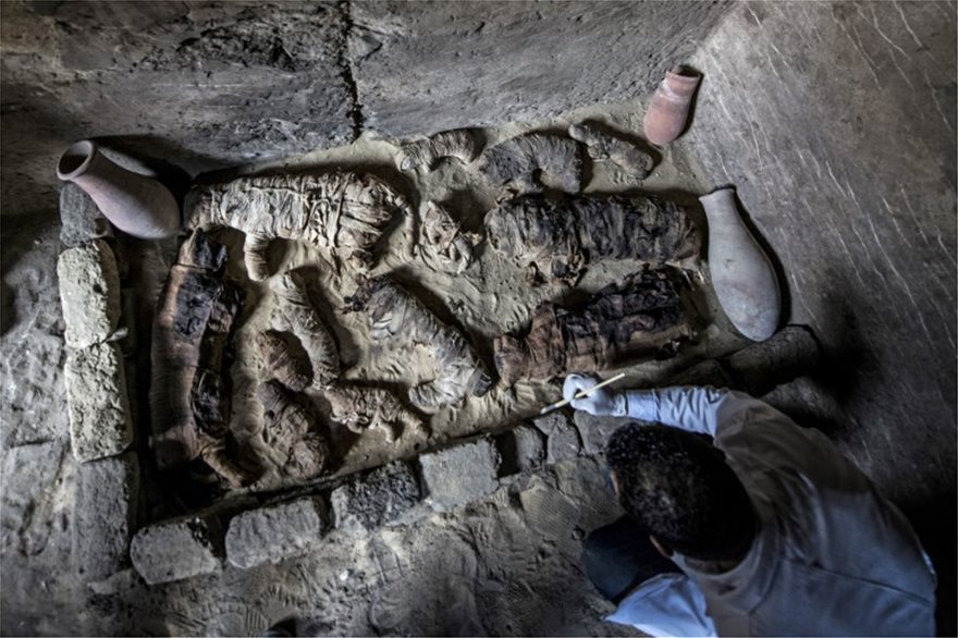 Δεκάδες μούμιες γατιών ανακαλύφθηκαν σε σαρκοφάγους άνω των 6000 ετών στην Αίγυπτο - Φωτογραφία 2