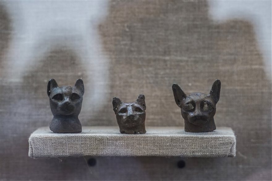 Δεκάδες μούμιες γατιών ανακαλύφθηκαν σε σαρκοφάγους άνω των 6000 ετών στην Αίγυπτο - Φωτογραφία 3