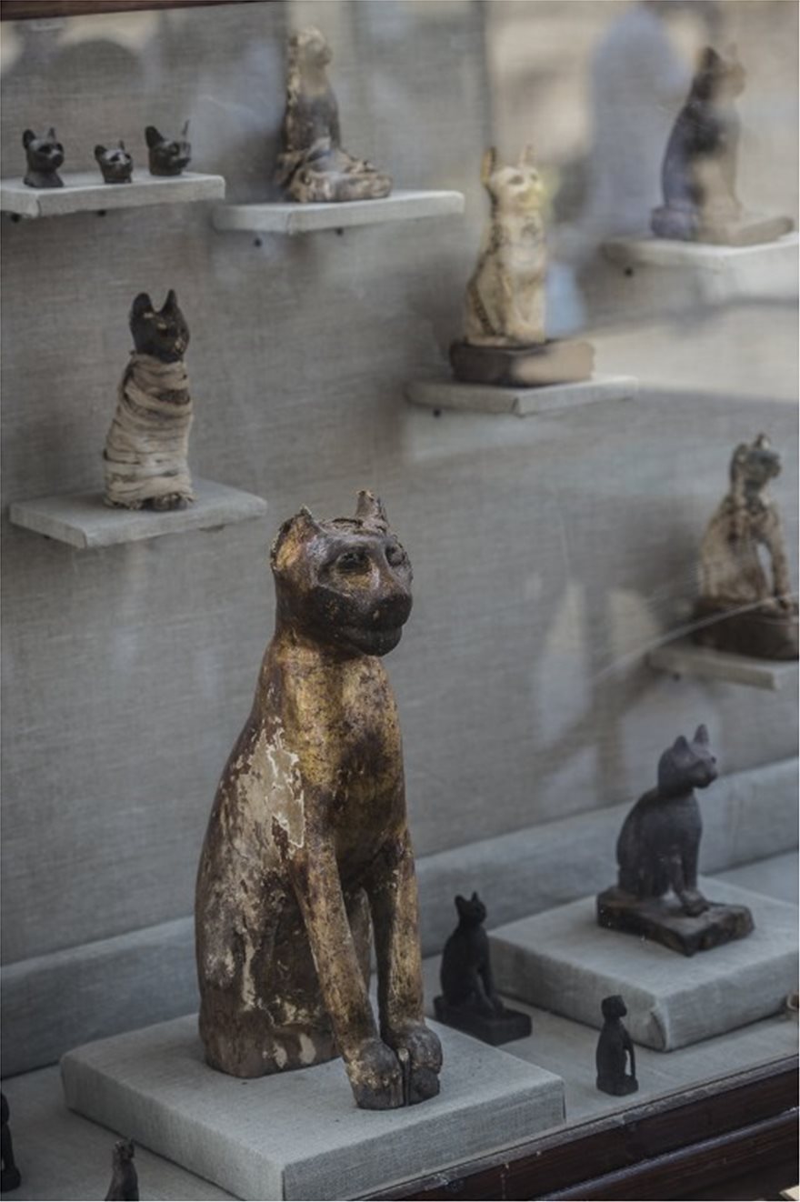Δεκάδες μούμιες γατιών ανακαλύφθηκαν σε σαρκοφάγους άνω των 6000 ετών στην Αίγυπτο - Φωτογραφία 4