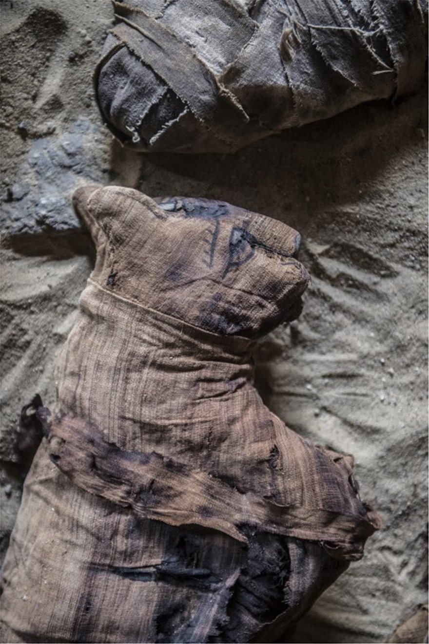 Δεκάδες μούμιες γατιών ανακαλύφθηκαν σε σαρκοφάγους άνω των 6000 ετών στην Αίγυπτο - Φωτογραφία 5