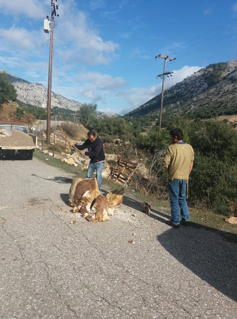 Έπεσε βράχος στο δρόμο για τα ΒΛΥΖΙΑΝΑ | ΦΩΤΟ - Φωτογραφία 4