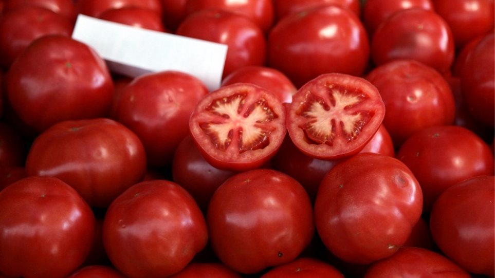 Δεσμεύτηκε 1,5 τόνος ντομάτας σε επιχείρηση ελεγκτών τροφίμων στον Πειραιά - Φωτογραφία 1
