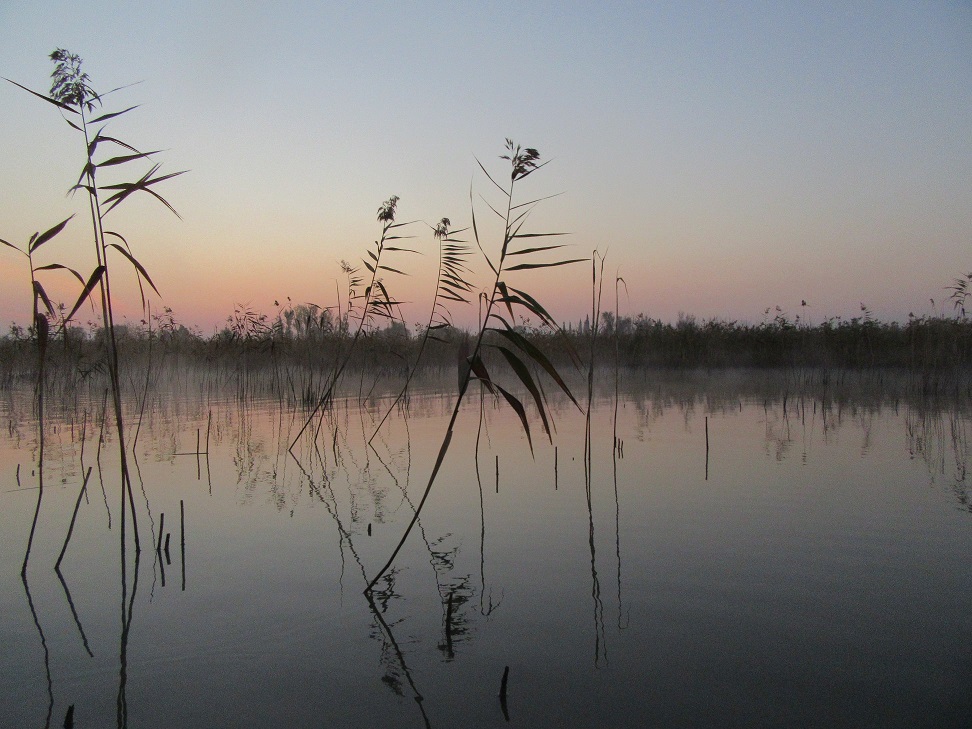 Η λίμνη Οζερός με το πρώτο φως της ημέρας (φωτο) - Φωτογραφία 12