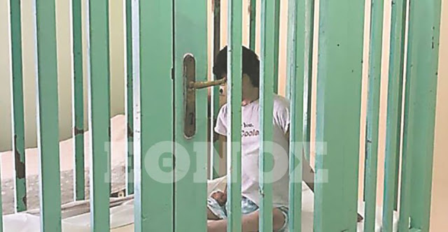 Τα κλουβιά της ντροπής στα Λεχαινά – Τυφλό κορίτσι 10 χρόνια σε κλουβί - Φωτογραφία 1