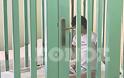 Τα κλουβιά της ντροπής στα Λεχαινά – Τυφλό κορίτσι 10 χρόνια σε κλουβί - Φωτογραφία 1